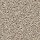 Shaw Floors: Trusolutions II Sand